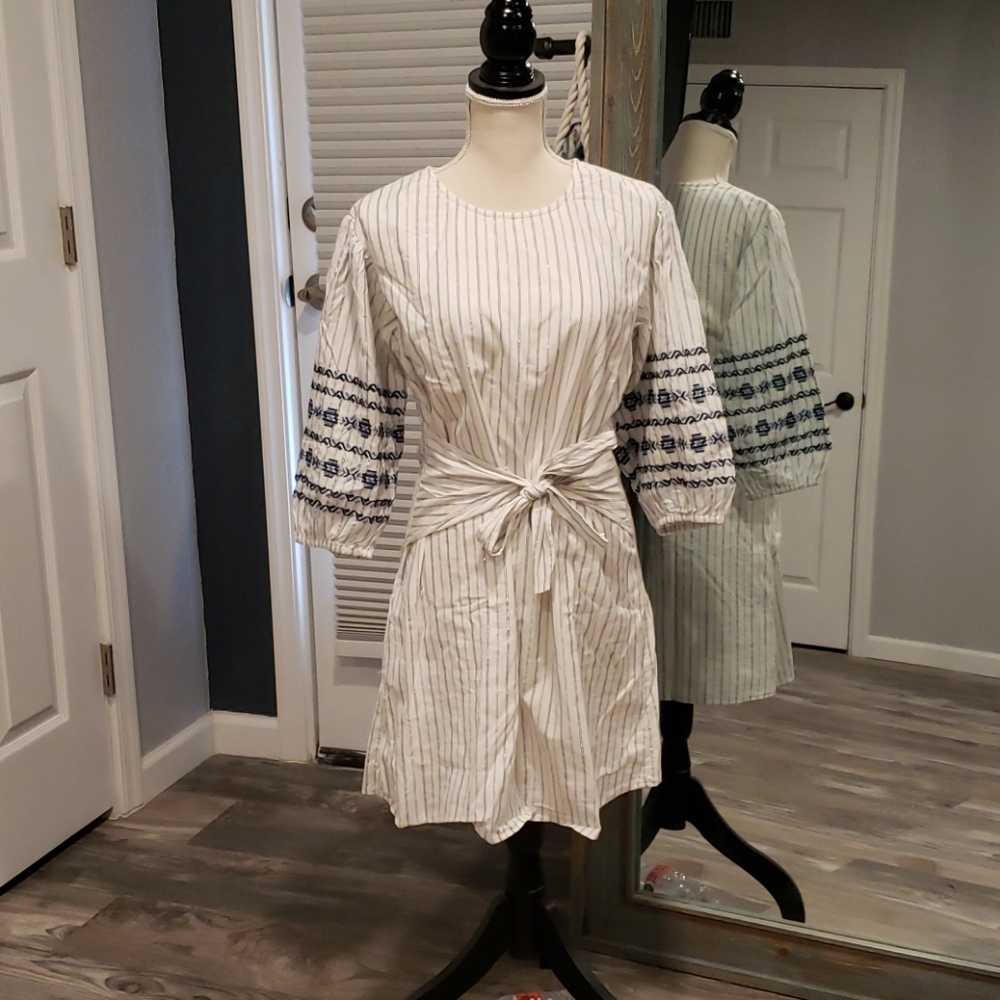 Beautiful pin dot striped dress embroidered sleeve